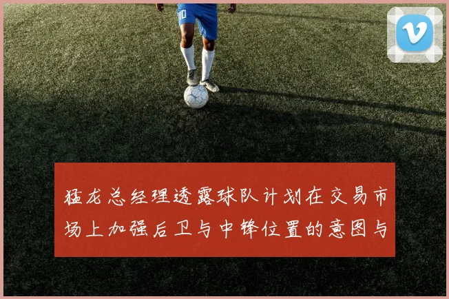 猛龙总经理透露球队计划在交易市场上加强后卫与中锋位置的意图与目标